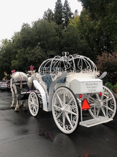 Gallery photo 8 of Wine Country Wedding Carriages