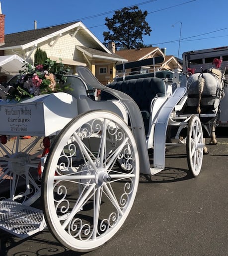Gallery photo 9 of Wine Country Wedding Carriages