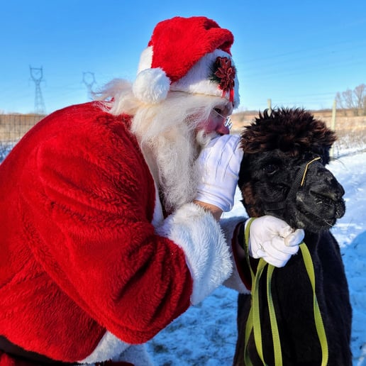 Gallery photo 3 of Winnipeg Santa