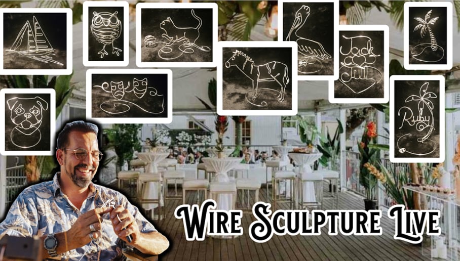 Gallery photo 1 of Wire Sculpture Live