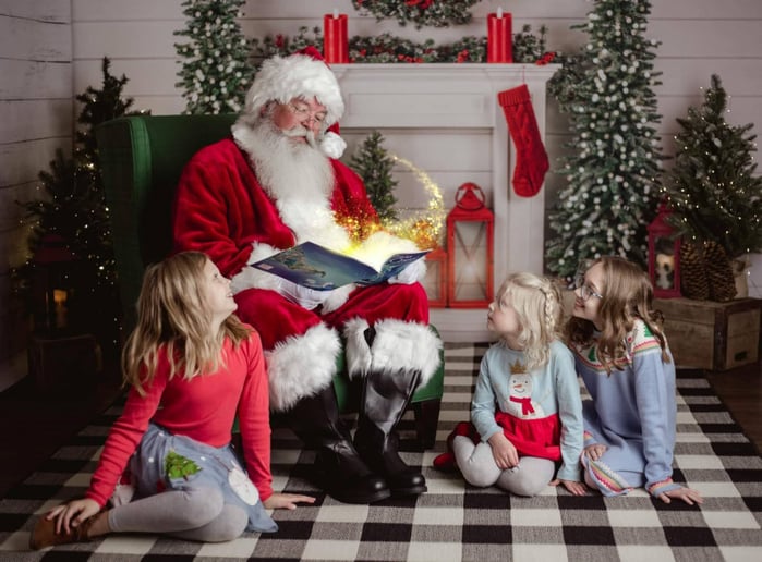 Gallery photo 2 of Wise Old Santa Claus