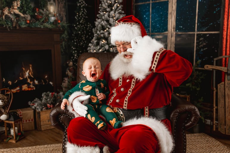 Gallery photo 6 of Wise Old Santa Claus