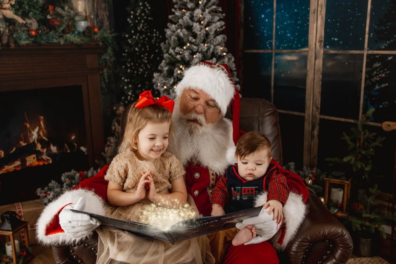 Gallery photo 7 of Wise Old Santa Claus