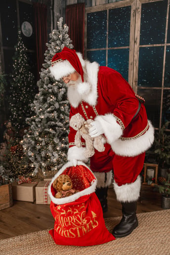 Gallery photo 16 of Wise Old Santa Claus