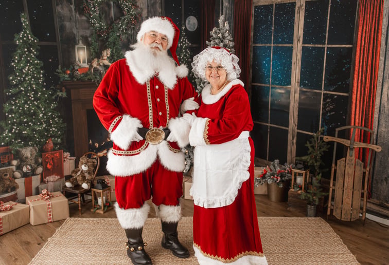 Gallery photo 17 of Wise Old Santa Claus