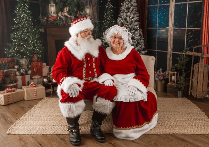 Gallery photo 19 of Wise Old Santa Claus
