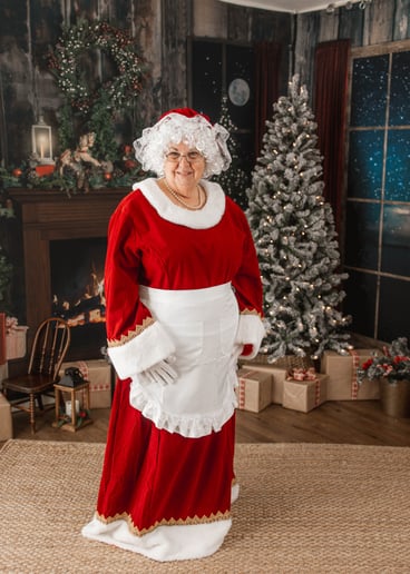 Gallery photo 22 of Wise Old Santa Claus