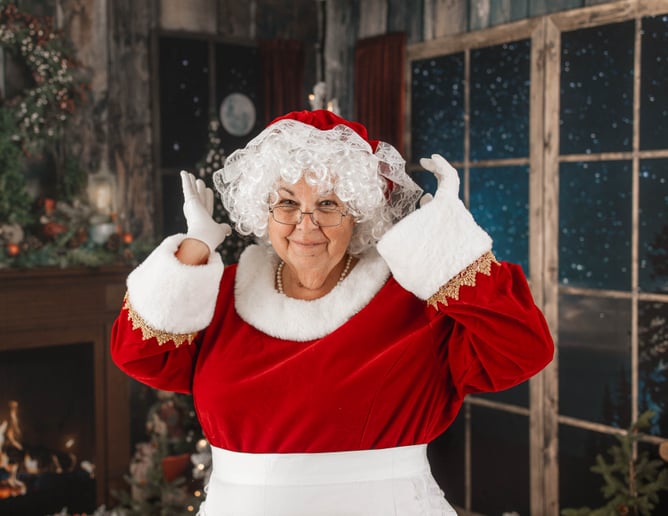 Gallery photo 23 of Wise Old Santa Claus