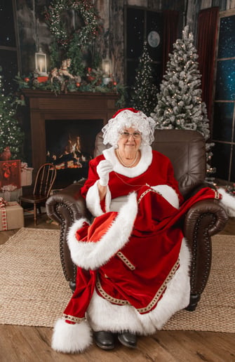 Gallery photo 24 of Wise Old Santa Claus