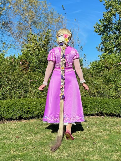 Gallery photo 4 of Wish For a Princess