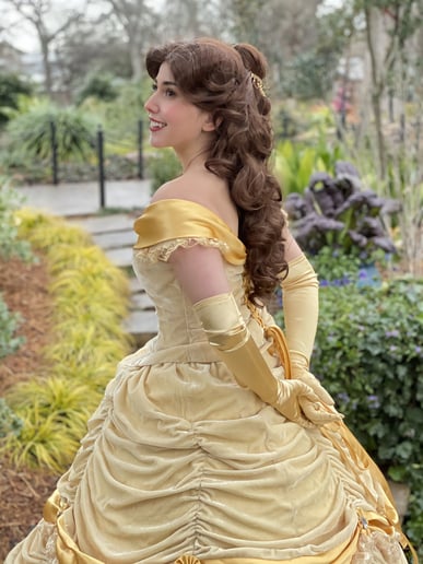 Gallery photo 6 of Wish For a Princess