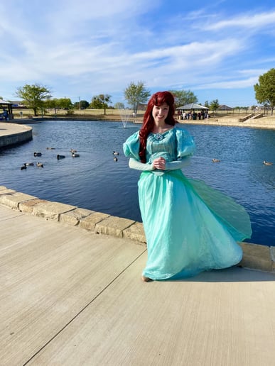 Gallery photo 9 of Wish For a Princess