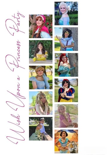 Gallery photo 1 of Wish Upon a Princess Party