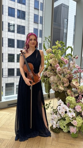 Gallery photo 2 of Wonder Violin