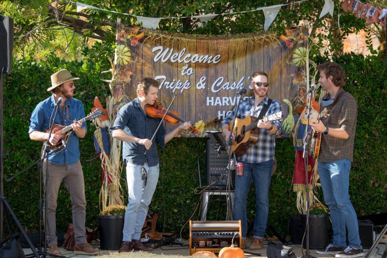 Gallery photo 5 of Wood & Steel Live Music Company