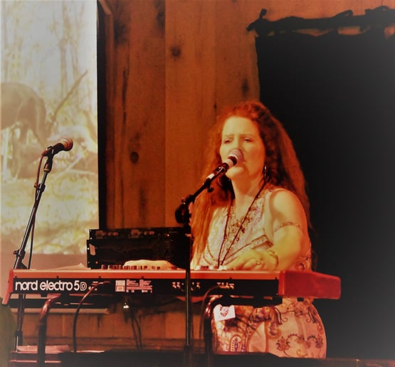 Gallery photo 10 of Wooden Ships Band