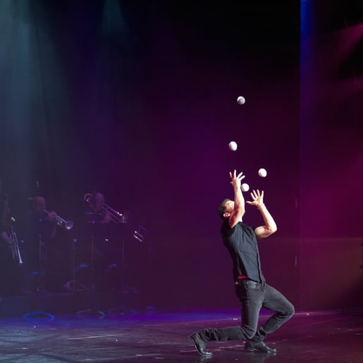 Gallery photo 4 of World Champion Comedy/Juggler