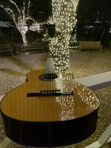 Gallery photo 1 of World Class Guitar Music