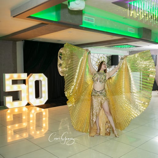 Gallery photo 1 of Karina Bellydancer