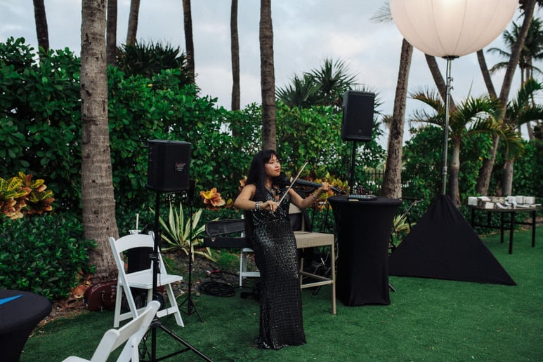 Gallery photo 9 of World Music on an Electric Violin