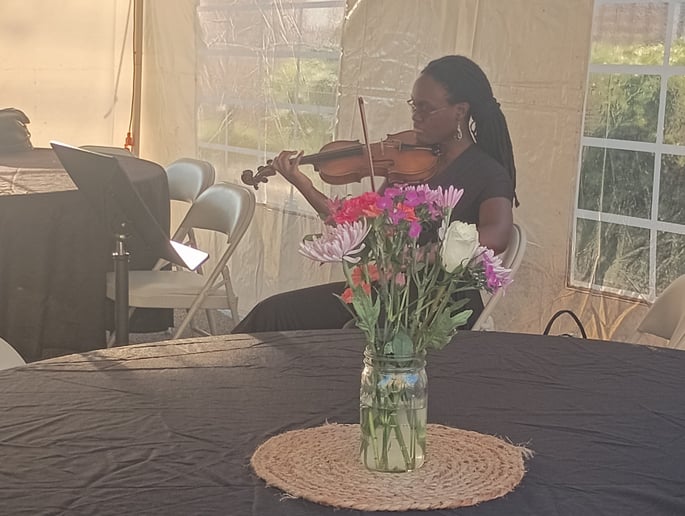 Gallery photo 20 of Pianist & Violinist Marini Kelley