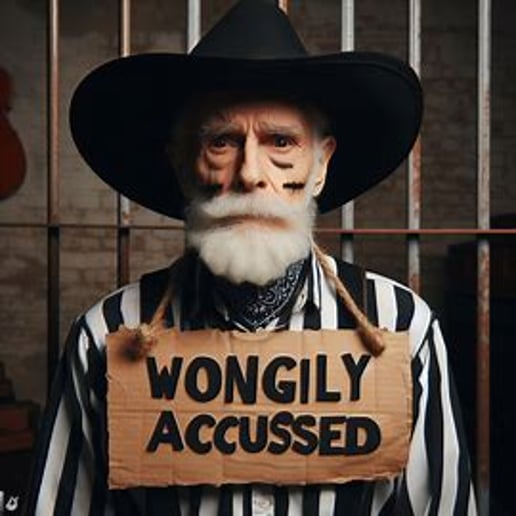Gallery photo 3 of Wrongly Accused - Stampede Country Act