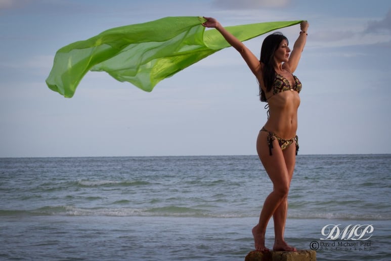 Gallery photo 4 of BellyDancePro