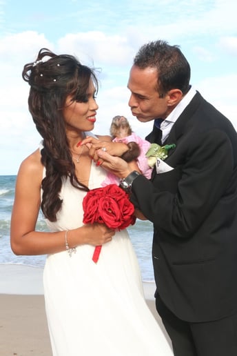 Gallery photo 10 of Exotic Animal Parties