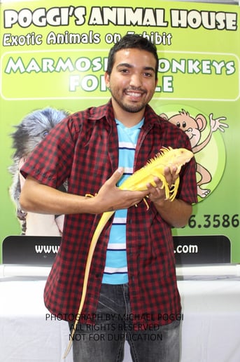 Gallery photo 13 of Exotic Animal Parties