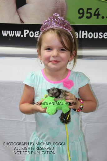Gallery photo 14 of Exotic Animal Parties