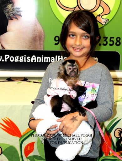 Gallery photo 22 of Exotic Animal Parties