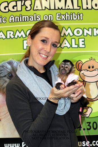 Gallery photo 21 of Exotic Animal Parties