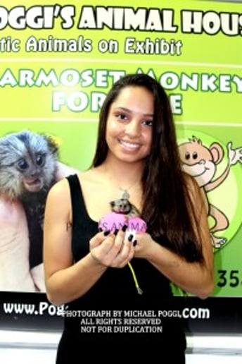 Gallery photo 20 of Exotic Animal Parties