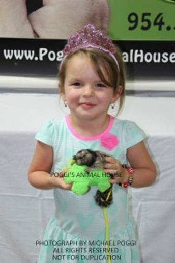 Gallery photo 28 of Exotic Animal Parties