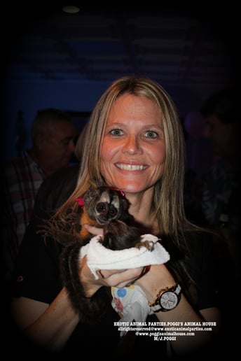 Gallery photo 37 of Exotic Animal Parties