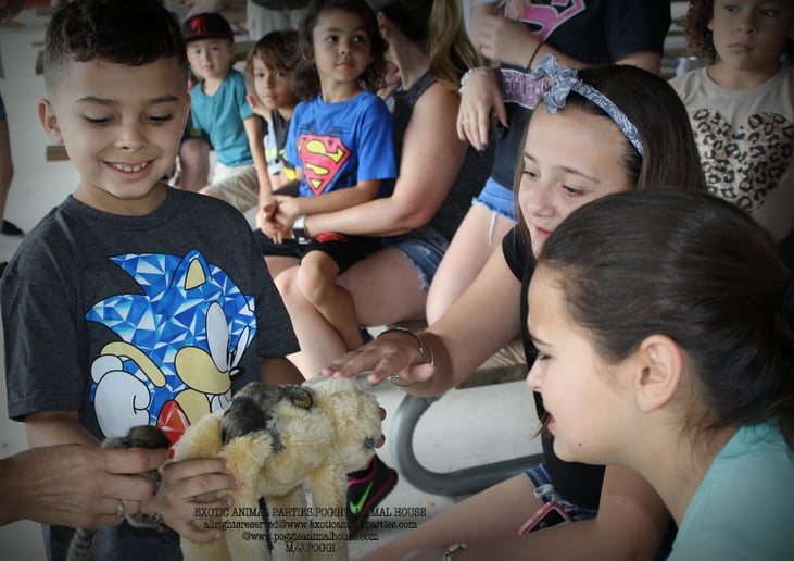 Gallery photo 39 of Exotic Animal Parties