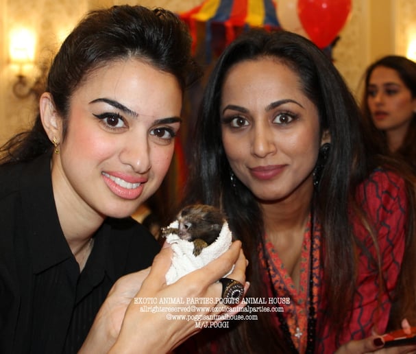 Gallery photo 41 of Exotic Animal Parties