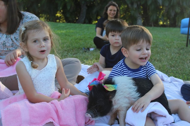 Gallery photo 45 of Exotic Animal Parties