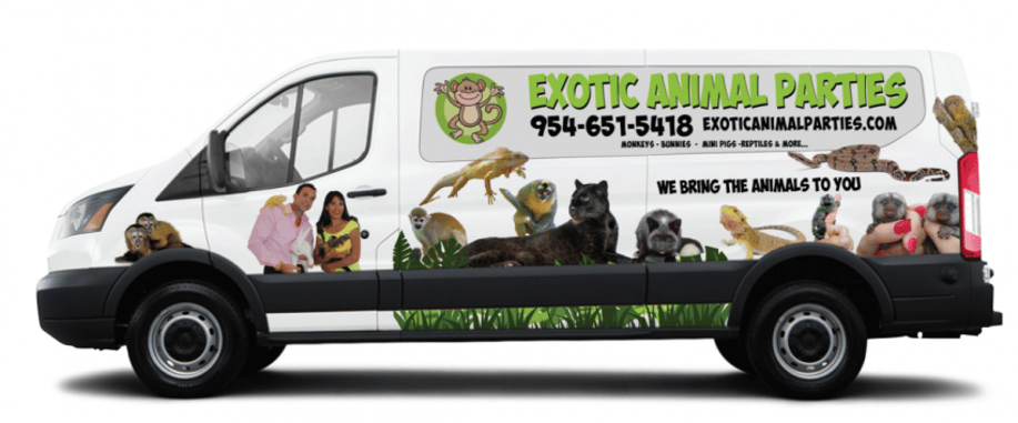 Gallery photo 2 of Exotic Animal Parties