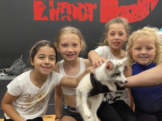 Gallery photo 36 of Exotic Animal Parties