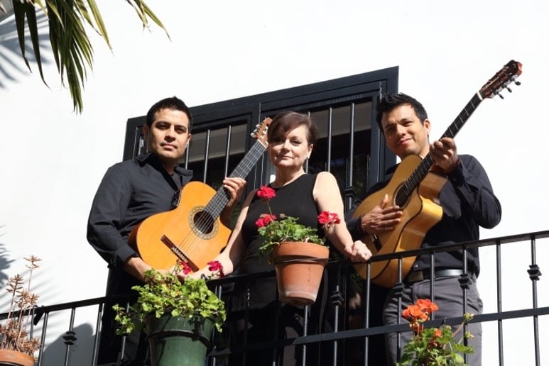 Gallery photo 6 of Xarás Trio