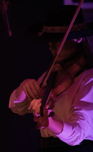 Gallery photo 3 of Xavier Hay & The Beehive Boys