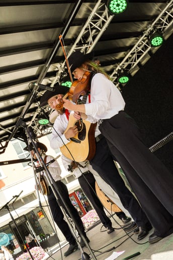 Gallery photo 4 of Xavier Hay & The Beehive Boys