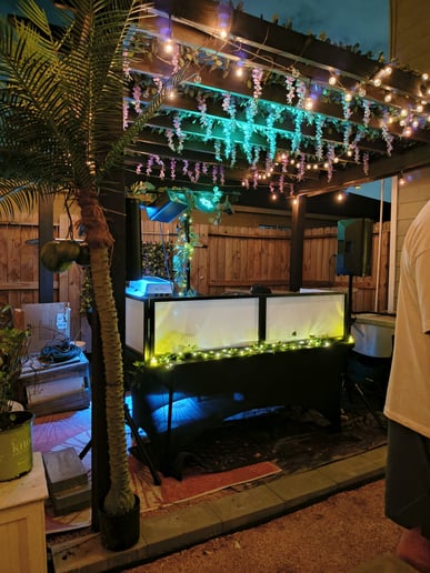 Gallery photo 3 of Xochill DJ