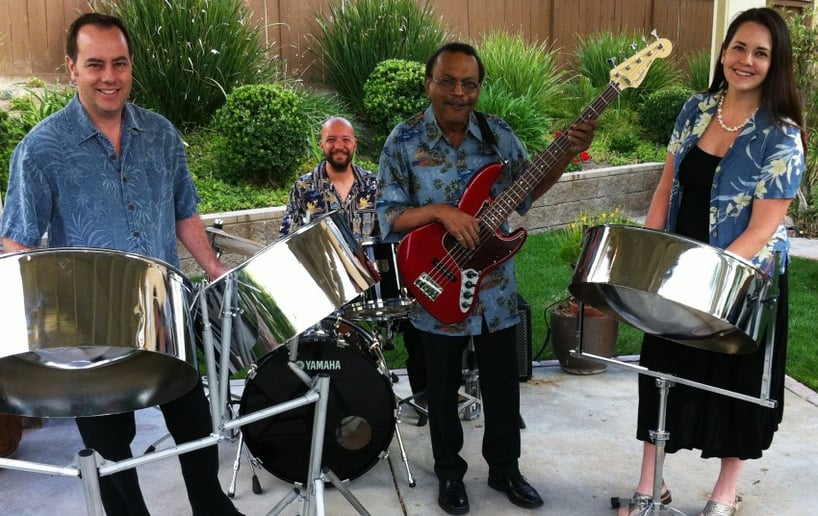 Gallery photo 1 of Nesta Steel Drum Band