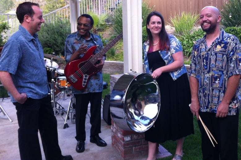 Gallery photo 3 of Nesta Steel Drum Band