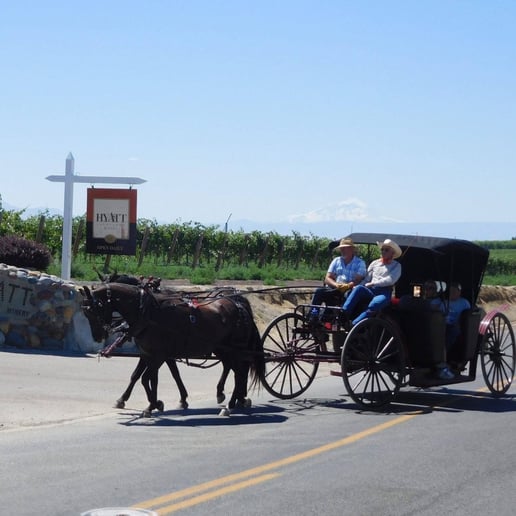 Gallery photo 6 of Yakima Valley Carriage Company