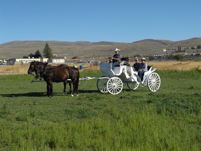 Gallery photo 7 of Yakima Valley Carriage Company