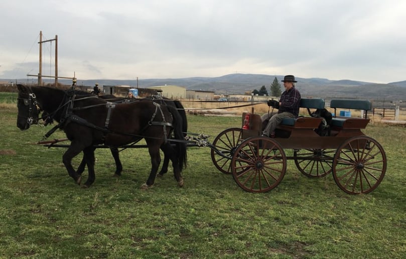 Gallery photo 9 of Yakima Valley Carriage Company