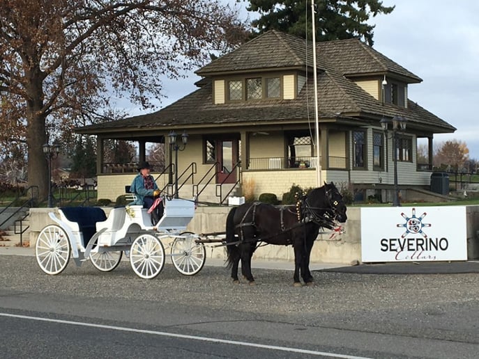 Gallery photo 10 of Yakima Valley Carriage Company